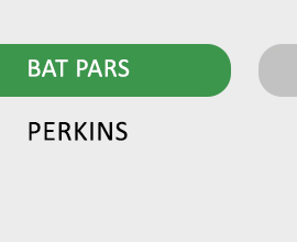 BAT PARS