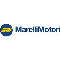 morelli